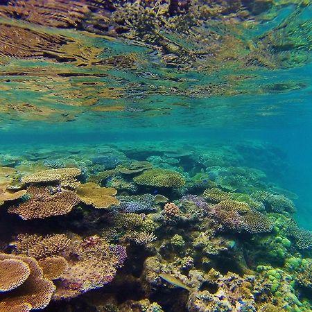 Mai Dive' Astrolabe Reef Resort Naqarawalu Kültér fotó