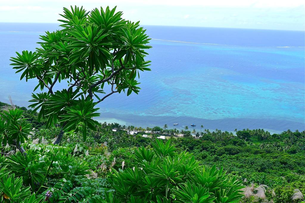 Mai Dive' Astrolabe Reef Resort Naqarawalu Szoba fotó