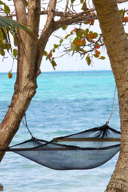 Mai Dive' Astrolabe Reef Resort Naqarawalu Szoba fotó