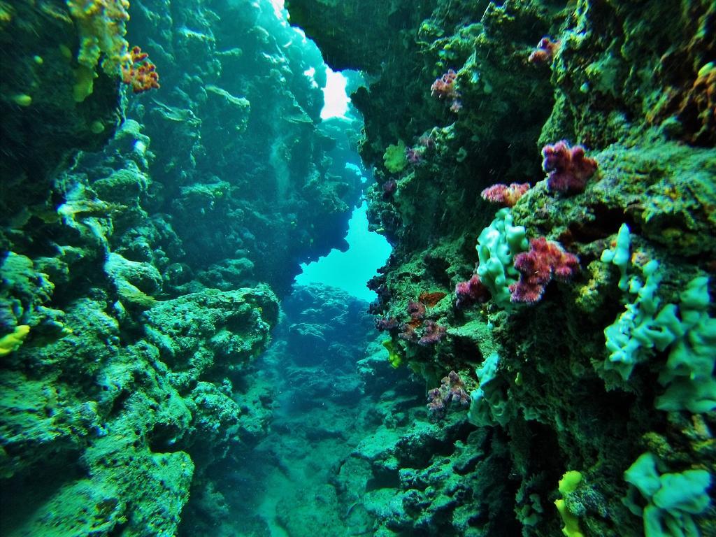 Mai Dive' Astrolabe Reef Resort Naqarawalu Kültér fotó